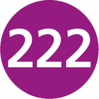 Linie 222