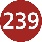 Linie 239